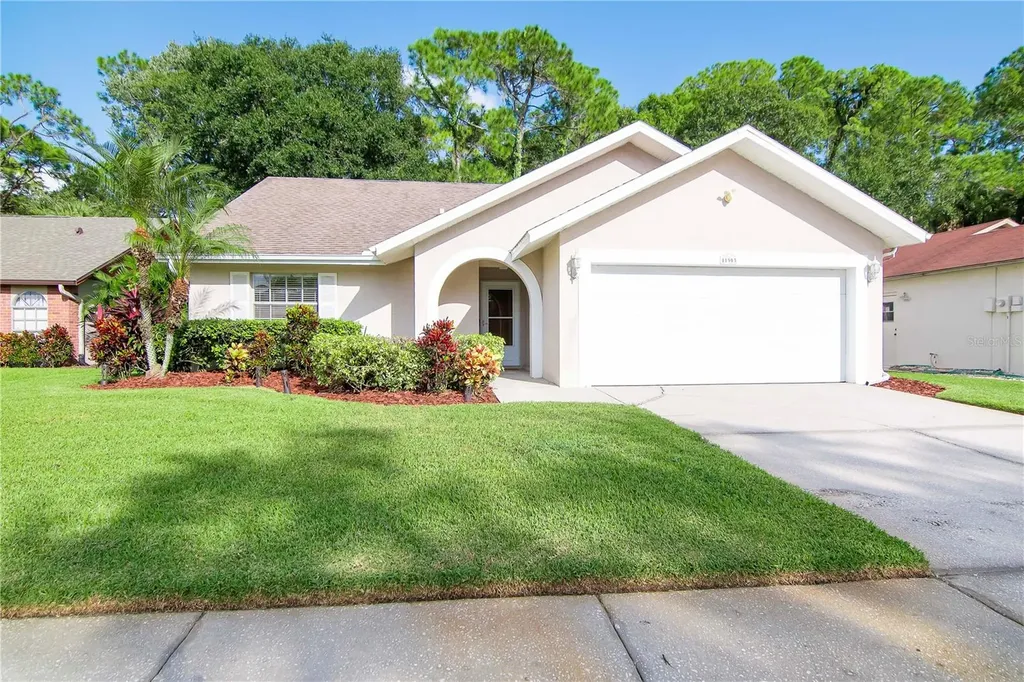 11903 Snapdragon Road Tampa FL 33635