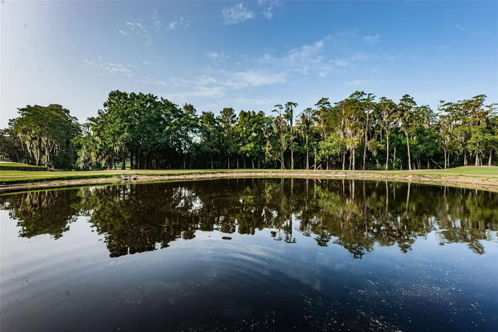 36750 Us Highway 19 N Palm Harbor FL 34684
