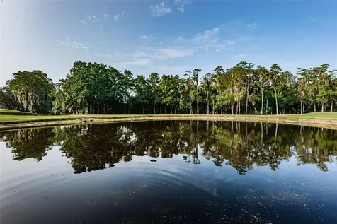 36750 Us Highway 19 N Palm Harbor FL 34684