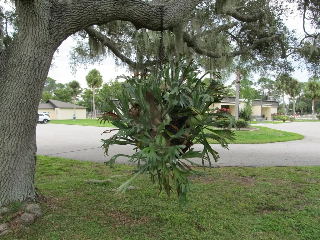 5140 Palena Boulevard North Port FL 34287