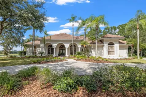8942 Magnolia Chase Circle Tampa FL 33647