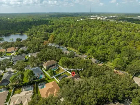 17301 Lockwood Ridge Drive Tampa FL 33647