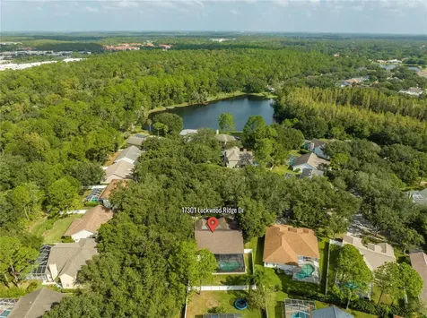 17301 Lockwood Ridge Drive Tampa FL 33647