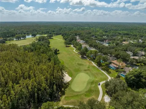 17301 Lockwood Ridge Drive Tampa FL 33647