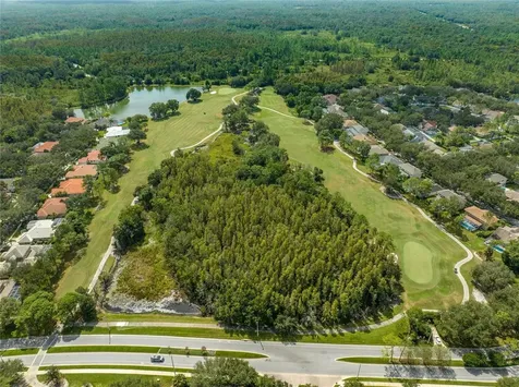 17301 Lockwood Ridge Drive Tampa FL 33647