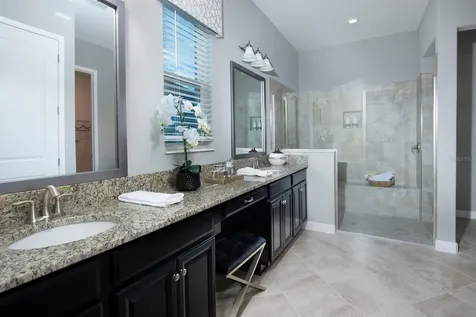 17136 Forge Surf Street Land O Lakes FL 34638
