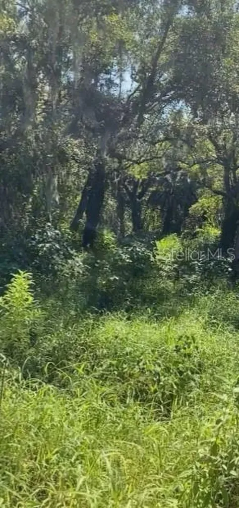 3395 N Nursery Road Zolfo Springs FL 33890