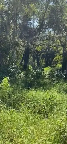 3395 N Nursery Road Zolfo Springs FL 33890