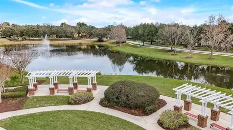 6245 Lake Burden View Drive Windermere FL 34786