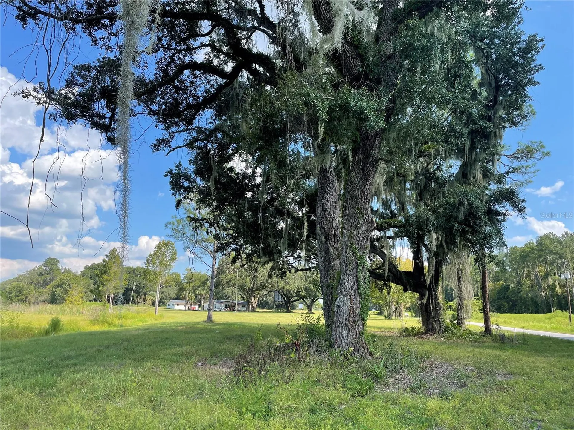 4102 County Road 181 Wildwood FL 34785