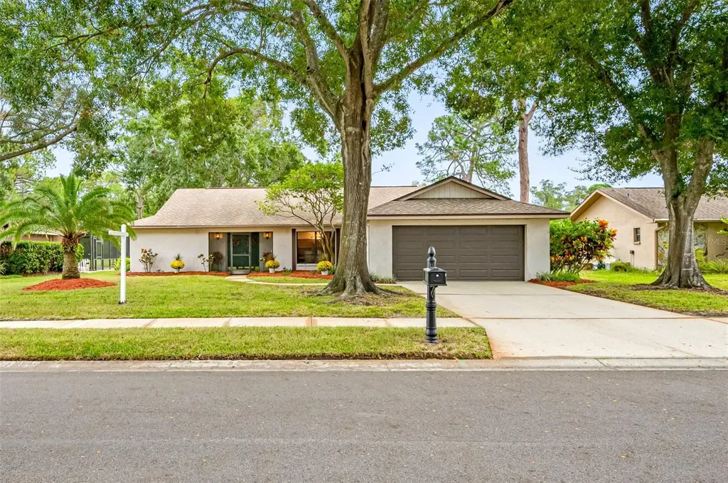 3519 Fairway Forest Drive Palm Harbor FL 34685