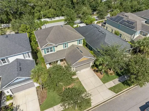 8825 Citrus Palm Drive Tampa FL 33626