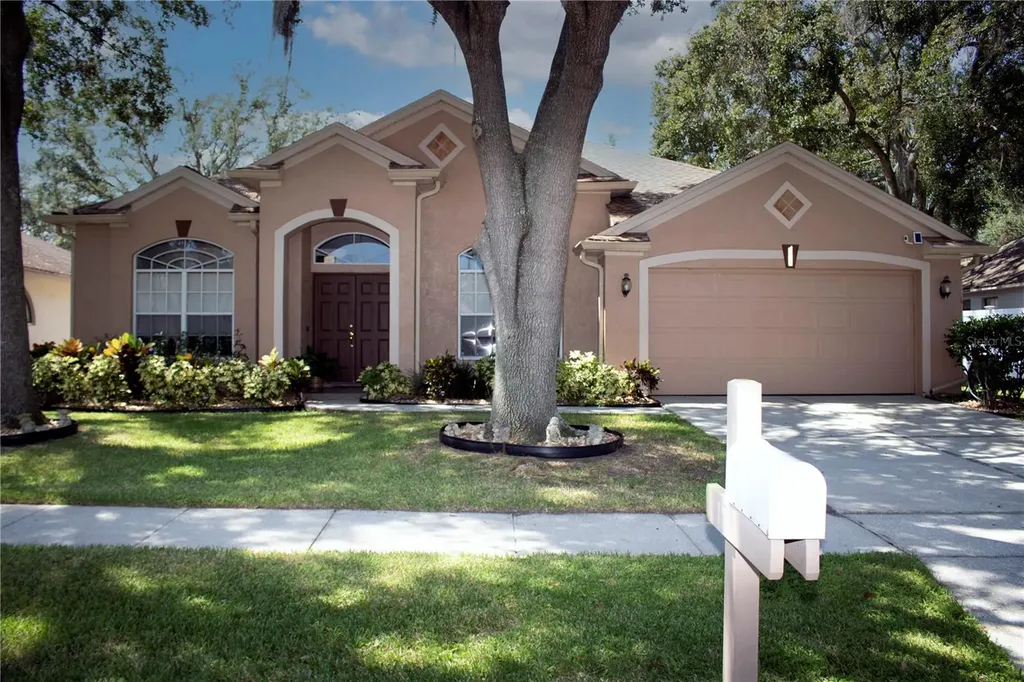 3805 Hollow Wood Drive Valrico FL 33596