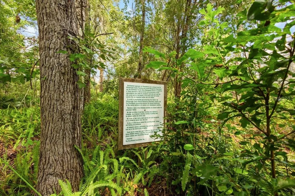 5120 Tari Stream Way Brandon FL 33511