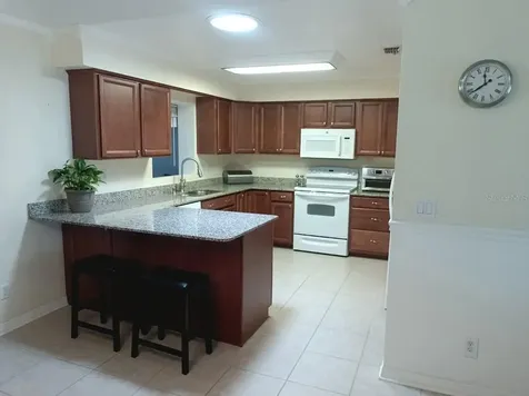 17704 Fallowfield Drive Lutz FL 33549