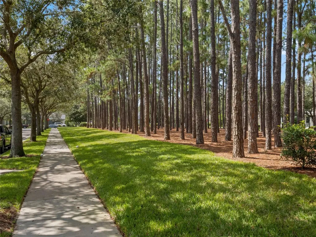 7011 Nobleton Drive Windermere FL 34786