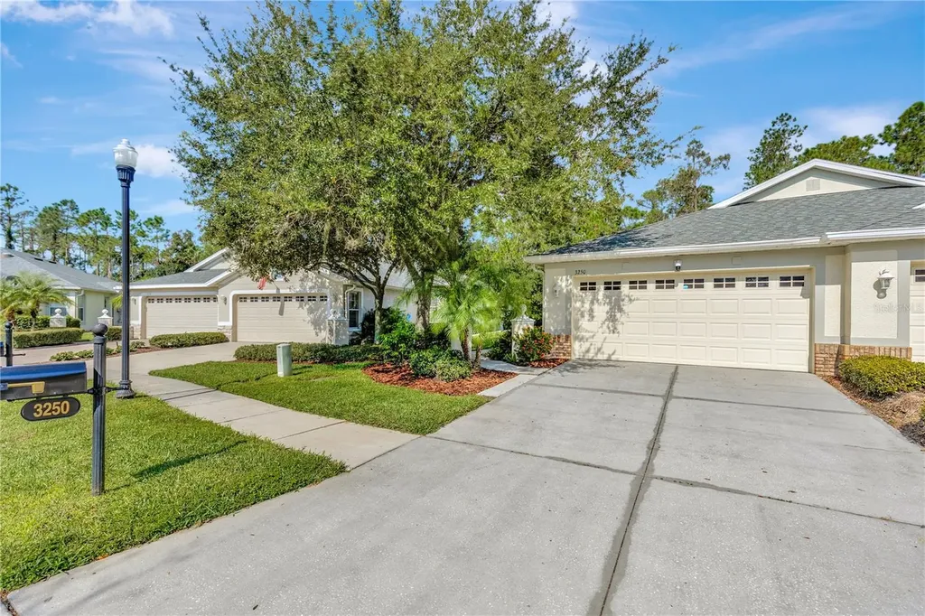 3250 Chapel Creek Circle Wesley Chapel FL 33544