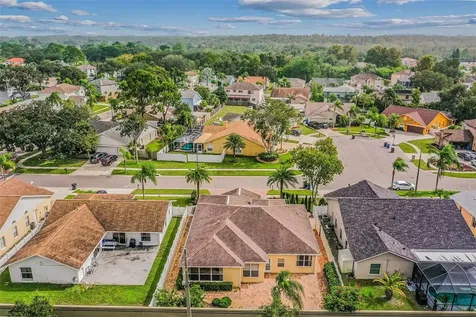 11505 Glenmont Drive Tampa FL 33635