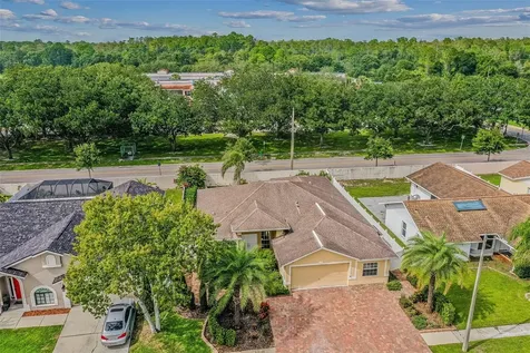 11505 Glenmont Drive Tampa FL 33635