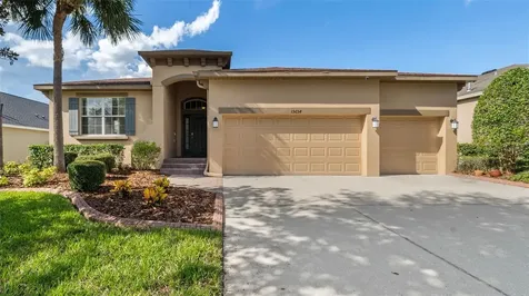 15654 Starling Water Drive Lithia FL 33547