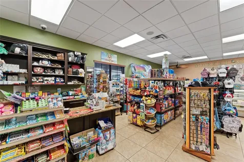 8974 Cat Palm Road Kissimmee FL 34747