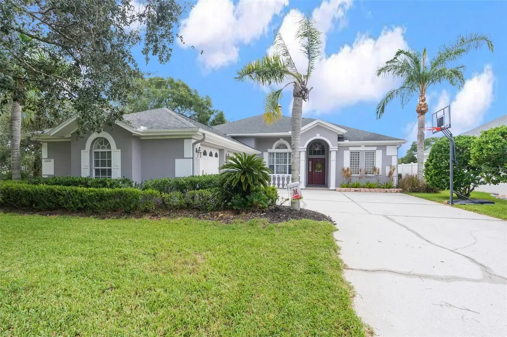 23222 Emerson Way Land O Lakes FL 34639