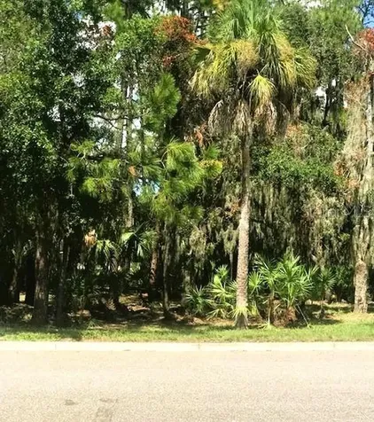 6715 Bobby Jones Court Palmetto FL 34221