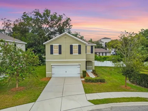 10224 Hawk Storm Avenue Tampa FL 33610
