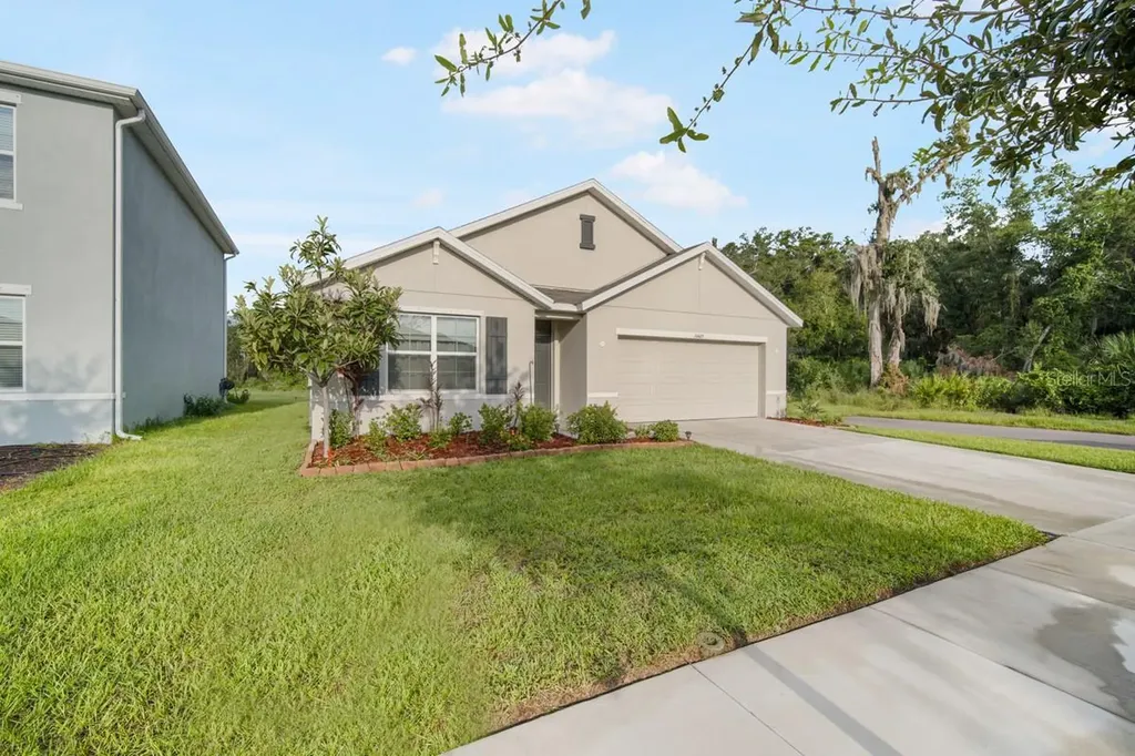 11605 Miracle Mile Drive Riverview FL 33578