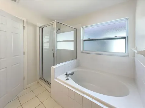 29249 Birds Eye Drive Wesley Chapel FL 33543