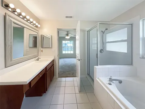 29249 Birds Eye Drive Wesley Chapel FL 33543