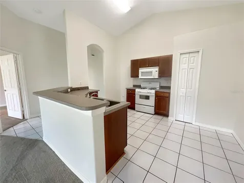 29249 Birds Eye Drive Wesley Chapel FL 33543
