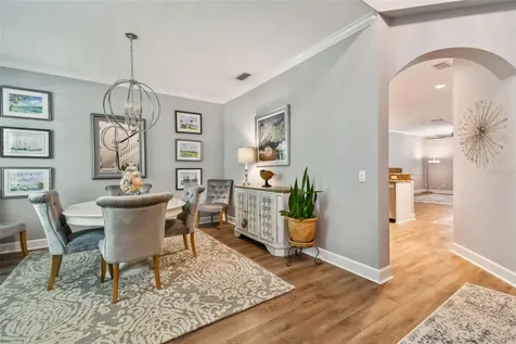 14749 Canopy Drive Tampa FL 33626