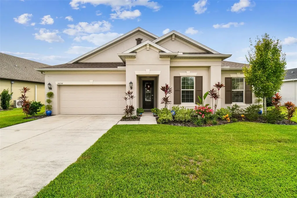 30236 Five Farms Avenue Wesley Chapel FL 33543