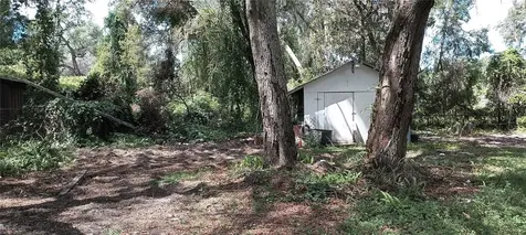 18973 SE 106th Street Ocklawaha FL 32179