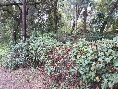 18973 SE 106th Street Ocklawaha FL 32179
