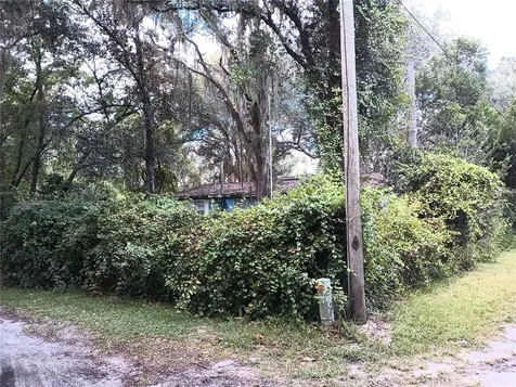18973 SE 106th Street Ocklawaha FL 32179