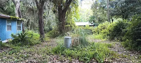 18973 SE 106th Street Ocklawaha FL 32179