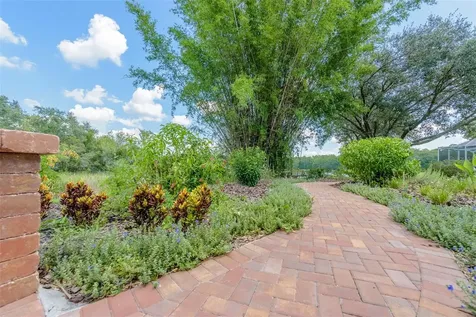 8628 Herons Cove Place Tampa FL 33647