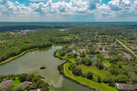 8628 Herons Cove Place Tampa FL 33647
