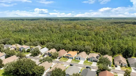 4249 Northern Dancer Way Orlando FL 32826