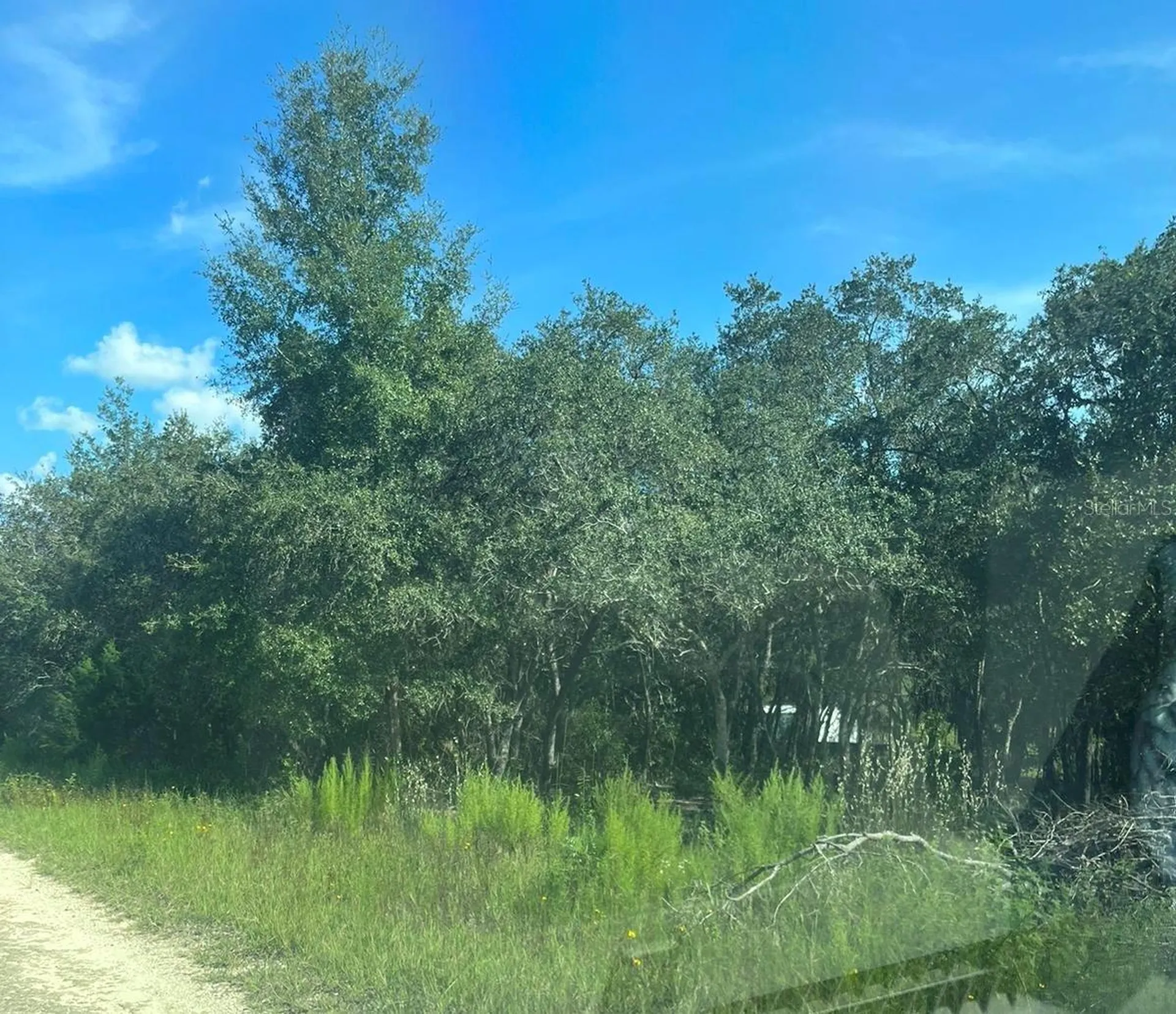 23-12-17 Oak Ridge Estates Blk 8 Lot 27 Williston FL 32696