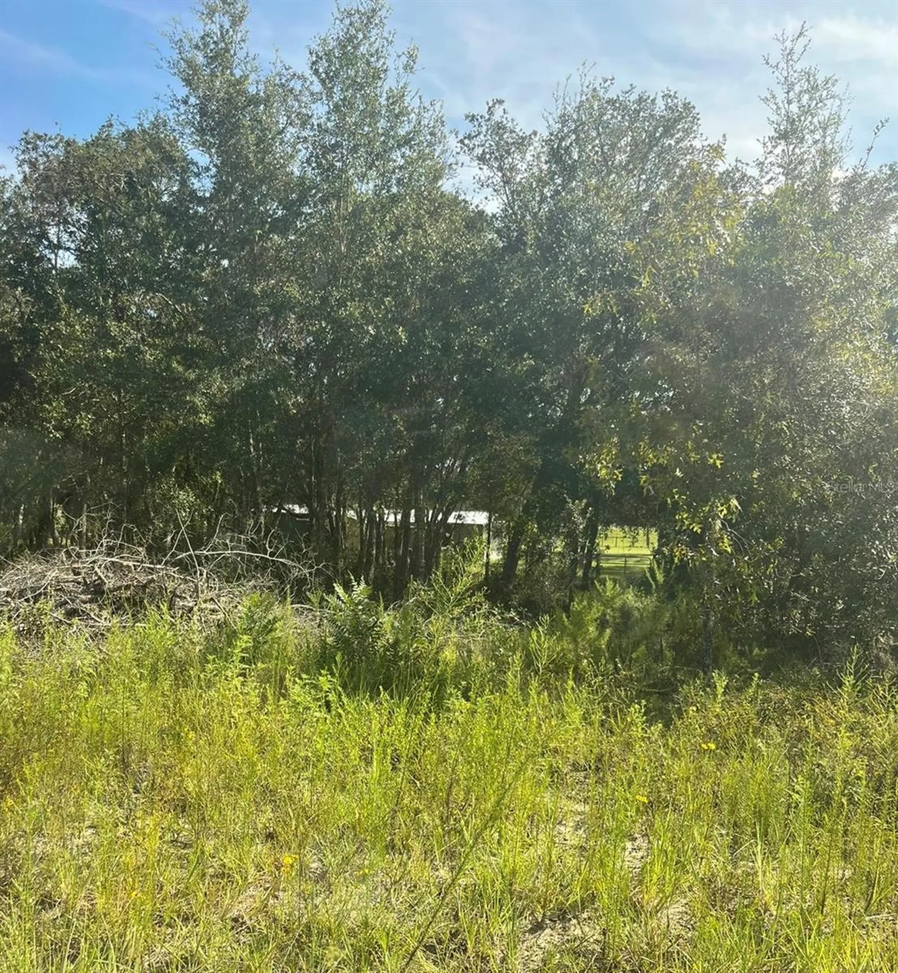 23-12-17 Oak Ridge Estates Blk 8 Lot 27 Williston FL 32696