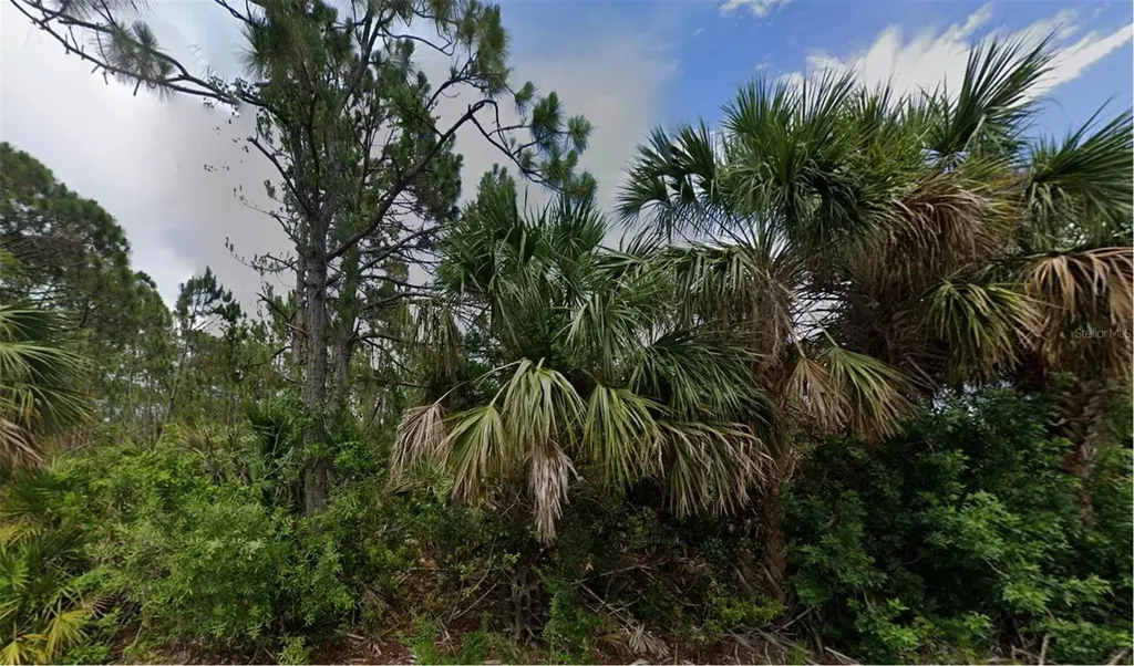 2504 Lyric Street Port Charlotte FL 33953