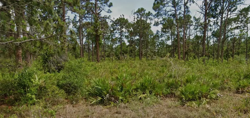 13547 Lynbrook Avenue Port Charlotte FL 33953