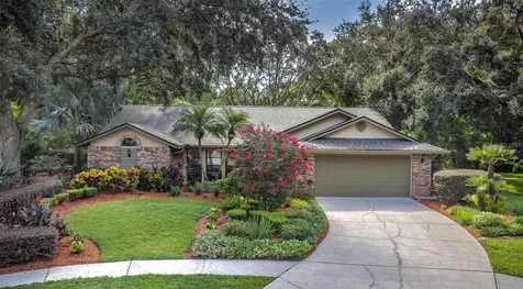 4005 Carenon Lane Valrico FL 33596