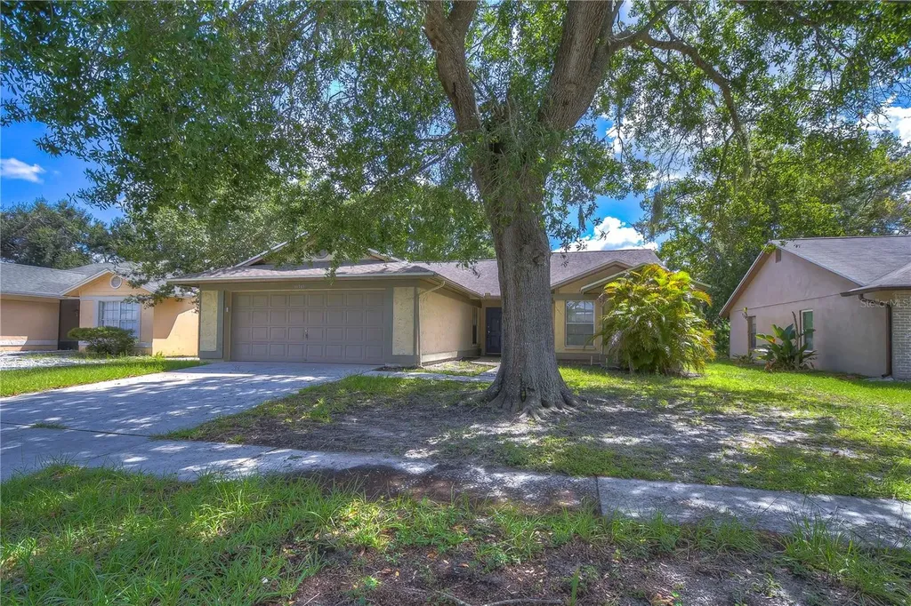 11919 Cedarfield Drive Riverview FL 33579