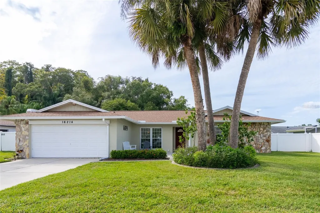 16214 Oakmanor Drive Tampa FL 33624