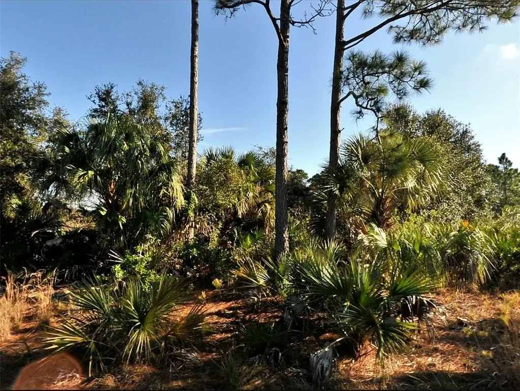 Lot 11 Sheno Drive North Port FL 34288