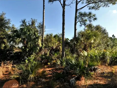 Lot 11 Sheno Drive North Port FL 34288